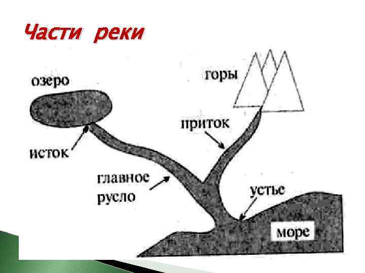 Части реки 