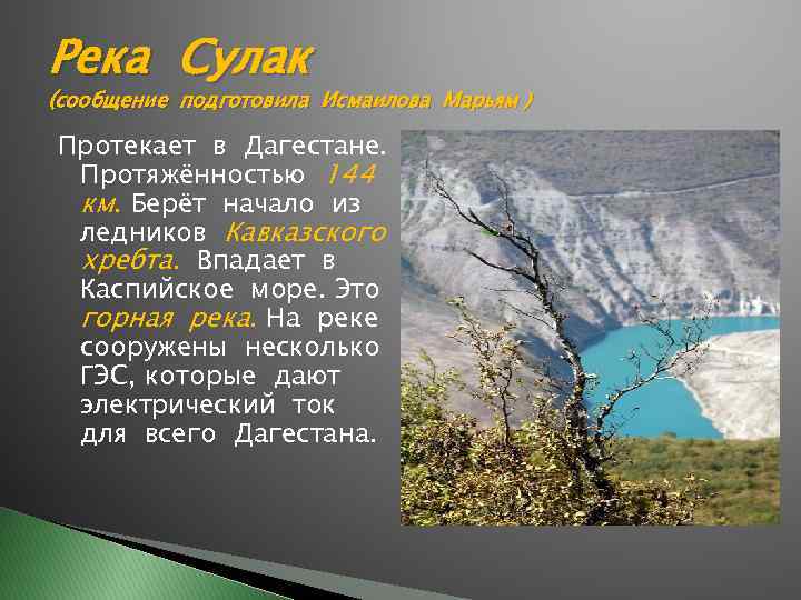 Река Сулак (сообщение подготовила Исмаилова Марьям ) Протекает в Дагестане. Протяжённостью 144 км. Берёт