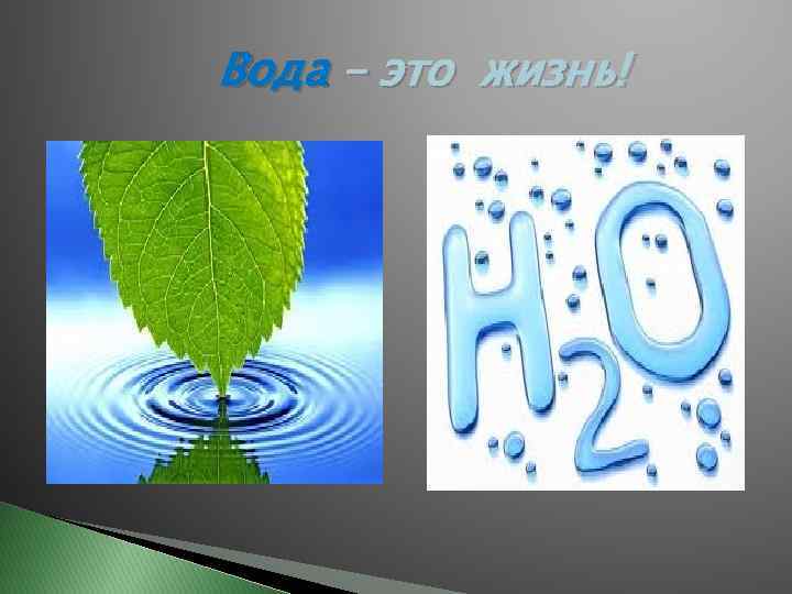 Вода – это жизнь! 