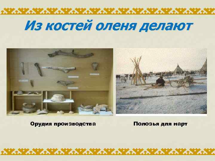 Из костей оленя делают Орудия производства Полозья для нарт 
