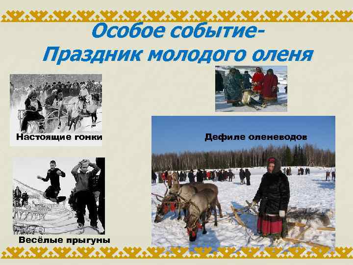 Особое событие. Праздник молодого оленя Настоящие гонки Весёлые прыгуны Дефиле оленеводов 