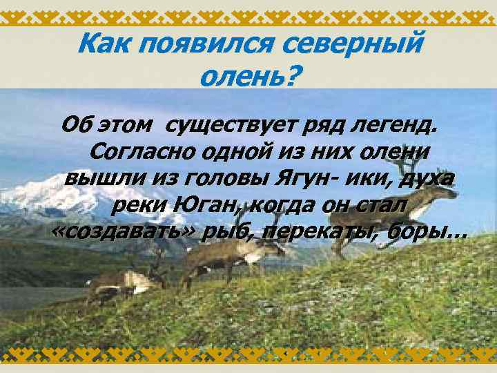 Как появился северный олень? Об этом существует ряд легенд. Согласно одной из них олени