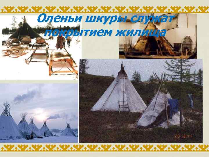 Оленьи шкуры служат покрытием жилища 
