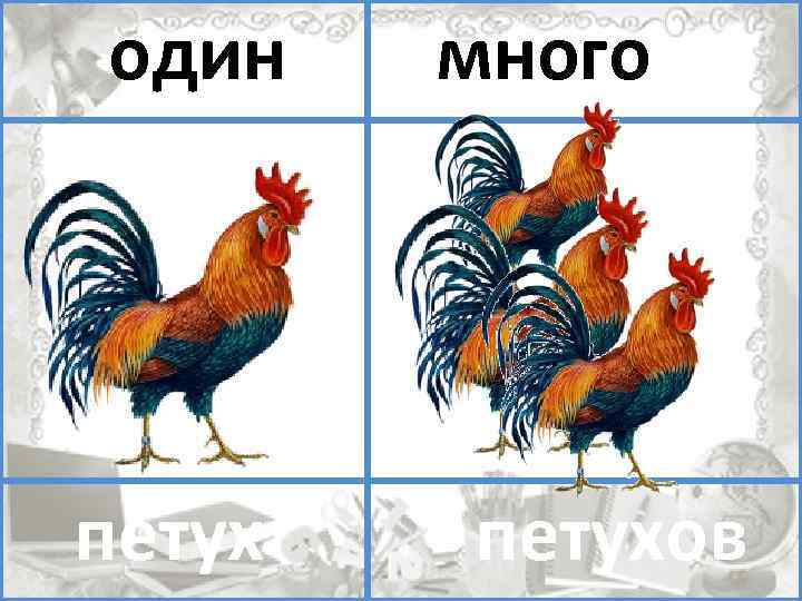 Один много. Один много 3 класс. Один много на п пь. Приложение петушок 1 для 1 класса. Один - много Рог.