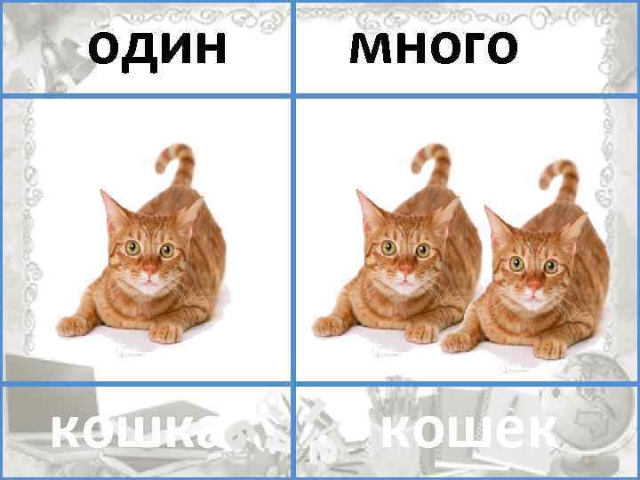 1 1 много. Один много 1 класс. Один много кошка. Одна кошка и кошки один много. Один много 2 класс.