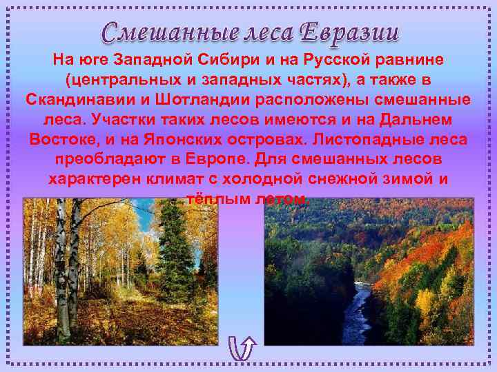 На юге Западной Сибири и на Русской равнине (центральных и западных частях), а также