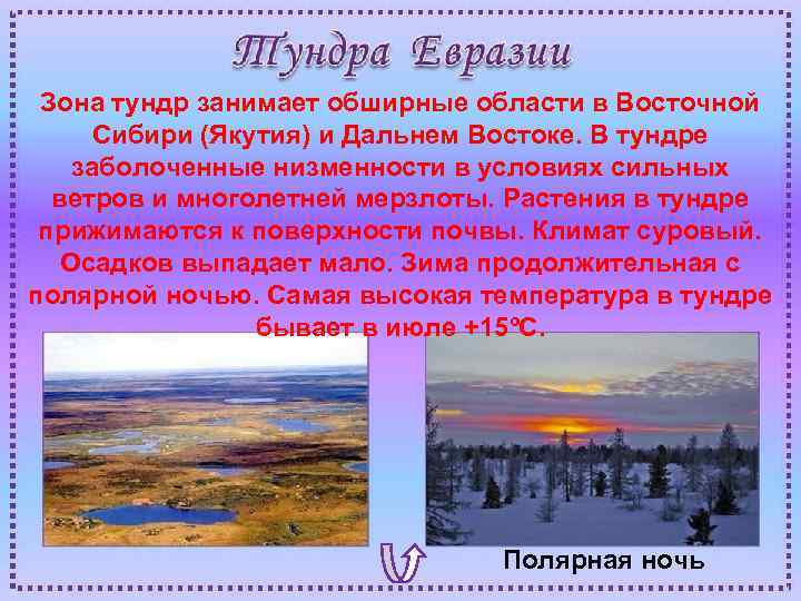 Зона тундр занимает обширные области в Восточной Сибири (Якутия) и Дальнем Востоке. В тундре