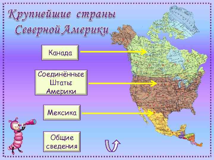 Канада Соединённые Штаты Америки Мексика Общие сведения 