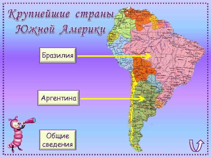 Бразилия Аргентина Общие сведения 