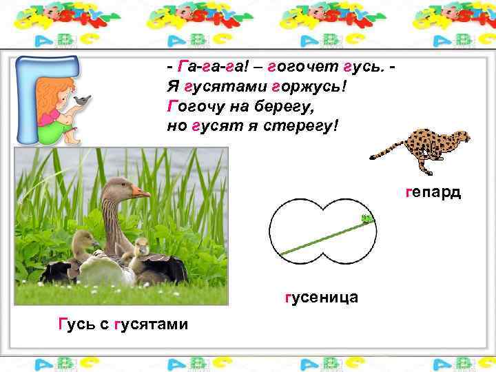 - Га-га-га! – гогочет гусь. Я гусятами горжусь! Гогочу на берегу, но гусят я