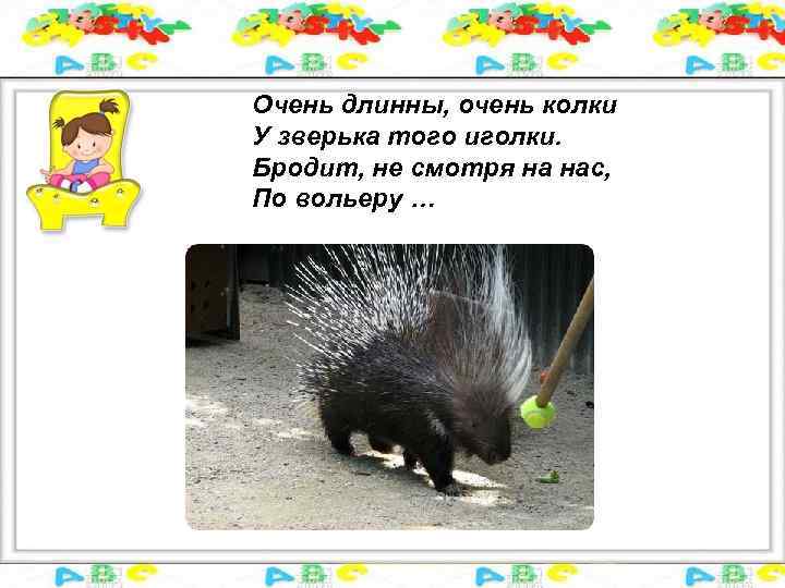 Очень длинны, очень колки У зверька того иголки. Бродит, не смотря на нас, По