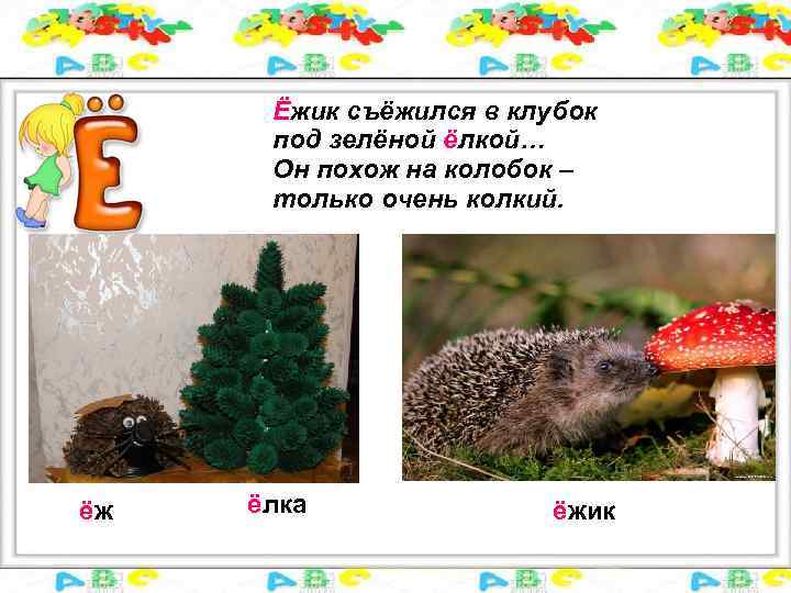 Ёжик съёжился в клубок под зелёной ёлкой… Он похож на колобок – только очень