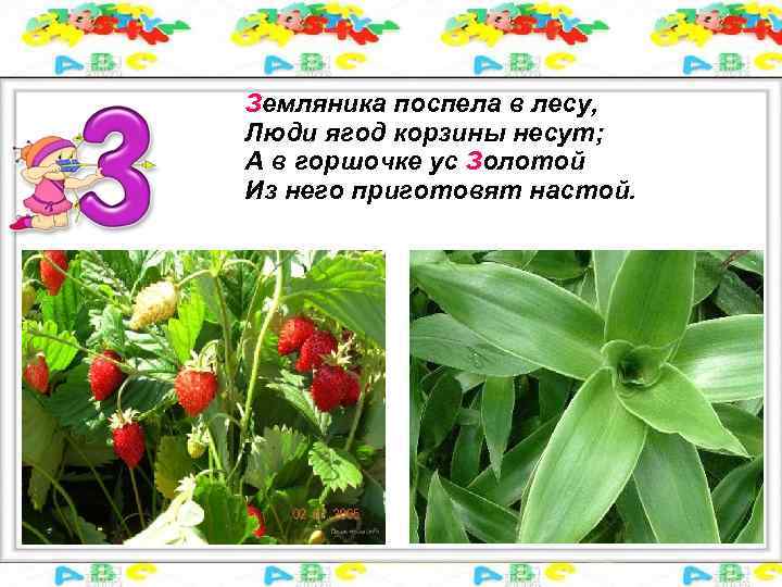 Земляника поспела в лесу, Люди ягод корзины несут; А в горшочке ус Золотой Из