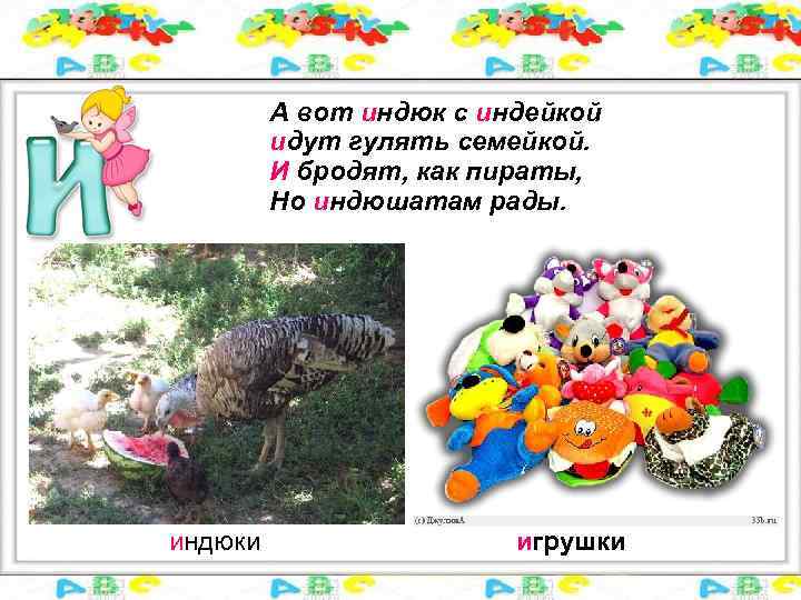 А вот индюк с индейкой идут гулять семейкой. И бродят, как пираты, Но индюшатам