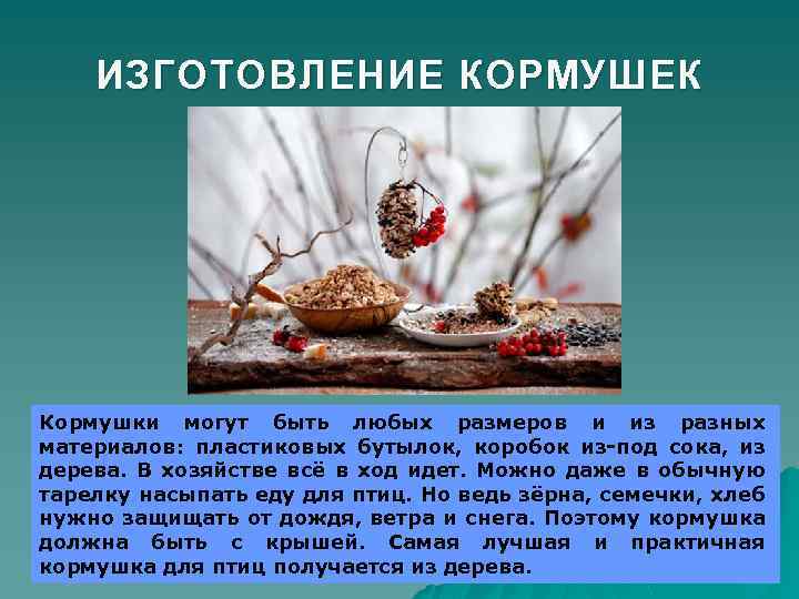 ИЗГОТОВЛЕНИЕ КОРМУШЕК Кормушки могут быть любых размеров и из разных материалов: пластиковых бутылок, коробок