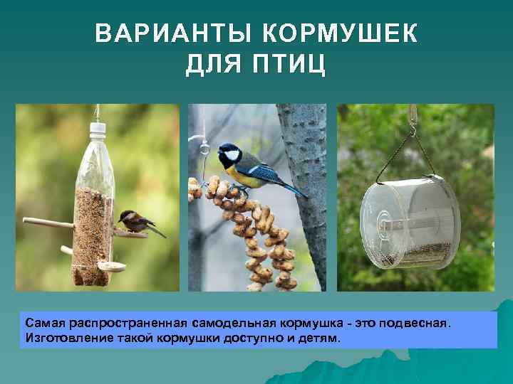 ВАРИАНТЫ КОРМУШЕК ДЛЯ ПТИЦ Самая распространенная самодельная кормушка - это подвесная. Изготовление такой кормушки