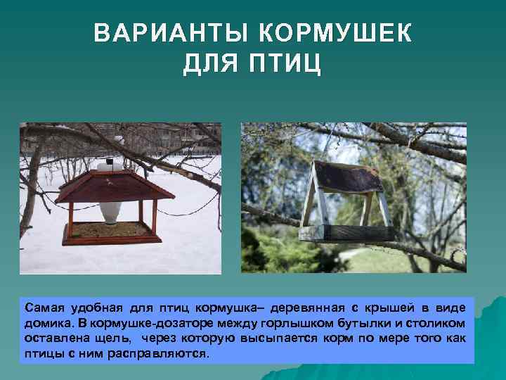 ВАРИАНТЫ КОРМУШЕК ДЛЯ ПТИЦ Самая удобная для птиц кормушка– деревянная с крышей в виде