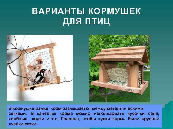 ВАРИАНТЫ КОРМУШЕК ДЛЯ ПТИЦ В кормушке-рамке корм размещается между металлическими сетками. В качестве корма