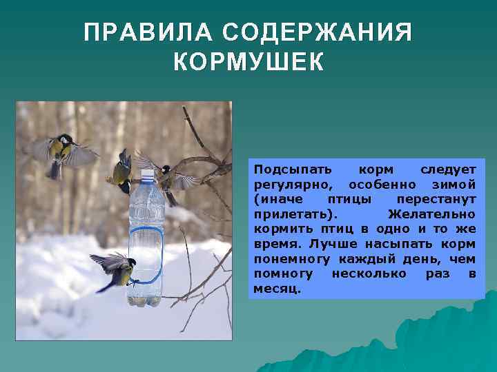 ПРАВИЛА СОДЕРЖАНИЯ КОРМУШЕК Подсыпать корм следует регулярно, особенно зимой (иначе птицы перестанут прилетать). Желательно