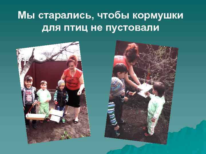 Мы старались, чтобы кормушки для птиц не пустовали 