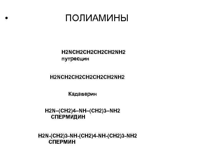  • ПОЛИАМИНЫ H 2 NCH 2 CH 2 NH 2 путресцин H 2