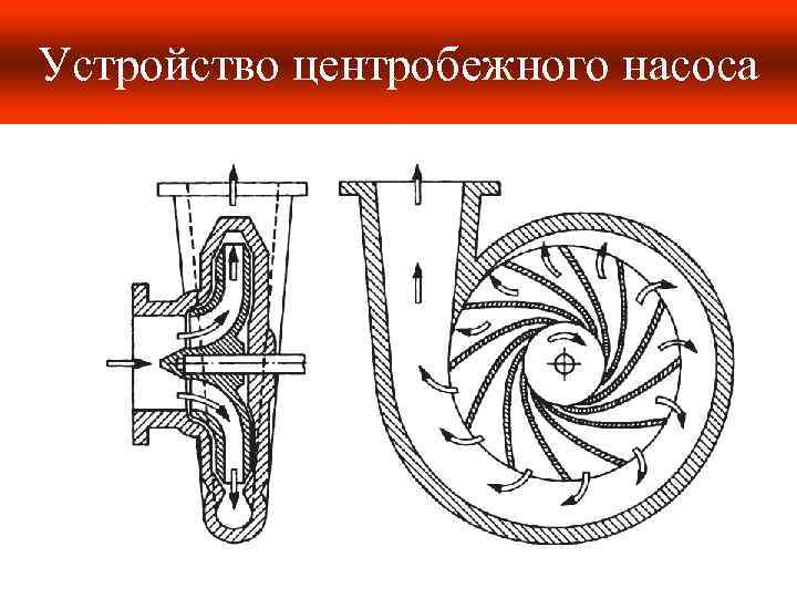 Устройство центробежного насоса 