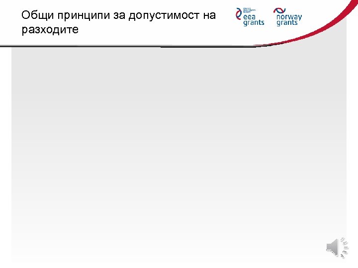 Общи принципи за допустимост на разходите 