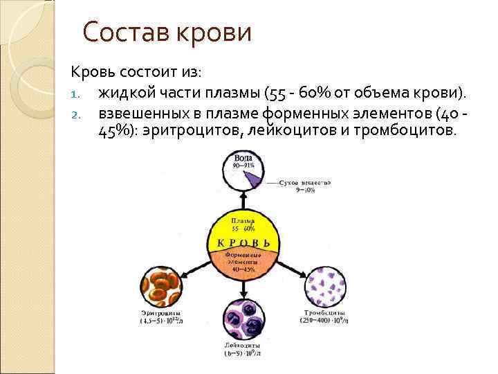 Состав крови Кровь состоит из: 1. жидкой части плазмы (55 60% от объема крови).