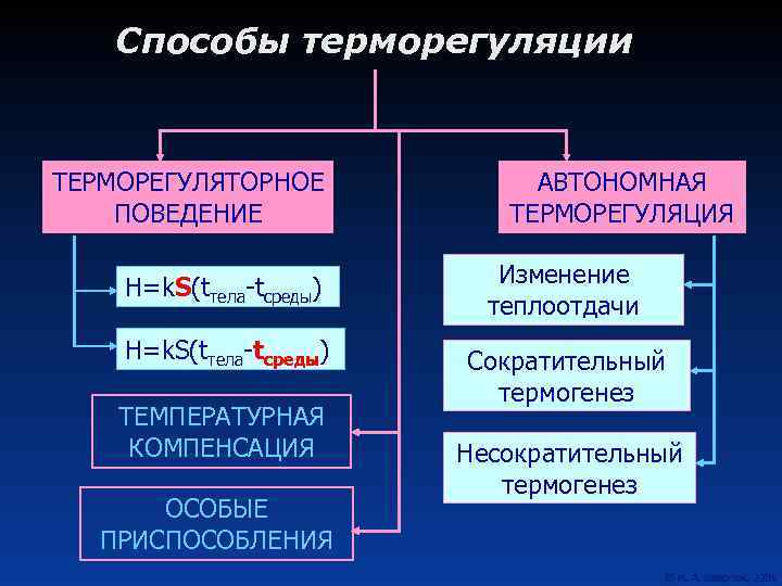 Способы терморегуляции ТЕРМОРЕГУЛЯТОРНОЕ ПОВЕДЕНИЕ АВТОНОМНАЯ ТЕРМОРЕГУЛЯЦИЯ Н=k. S(tтела-tсреды) Изменение теплоотдачи Н=k. S(tтела-tсреды) Сократительный термогенез