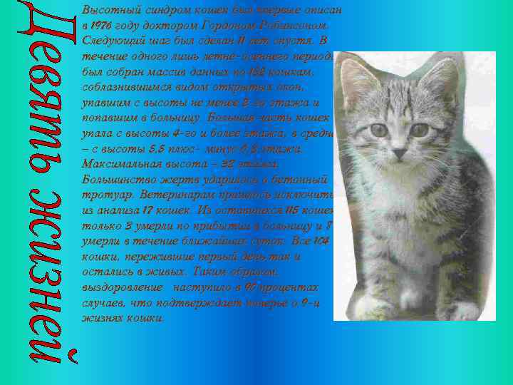 Высотный синдром кошек был впервые описан в 1976 году доктором Гордоном Робинсоном. Следующий шаг