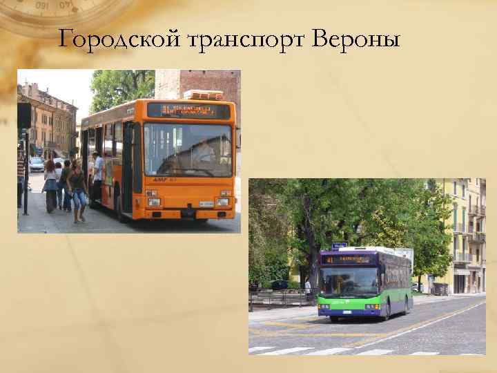 Городской транспорт Вероны 