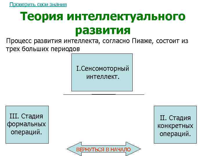 Проверить свои знания Теория интеллектуального развития Процесс развития интеллекта, согласно Пиаже, состоит из трех