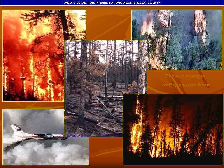 Учебно-методический центр по ГОЧС Архангельской области Лесные пожары от Европы до Азии 