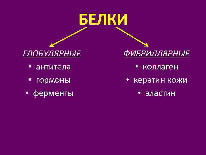 БЕЛКИ ГЛОБУЛЯРНЫЕ ФИБРИЛЛЯРНЫЕ • антитела • коллаген • гормоны • кератин кожи • ферменты