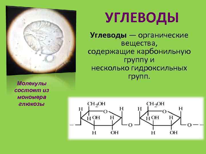 Молекула глюкозы состоит из