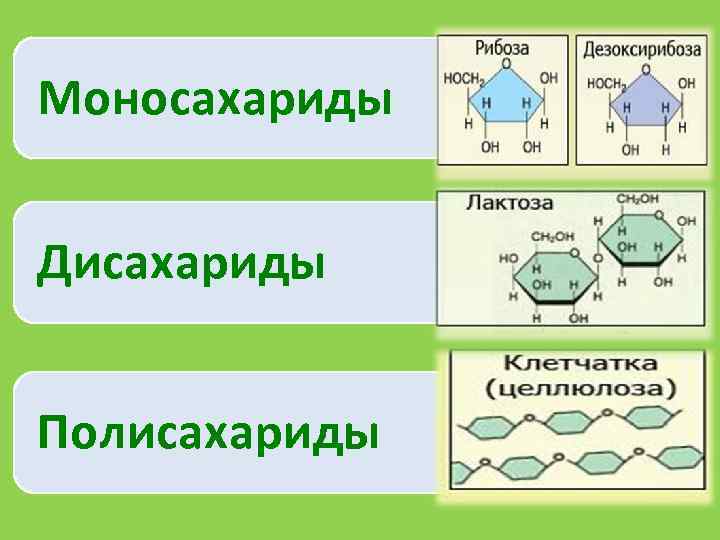 Дисахариды полисахариды