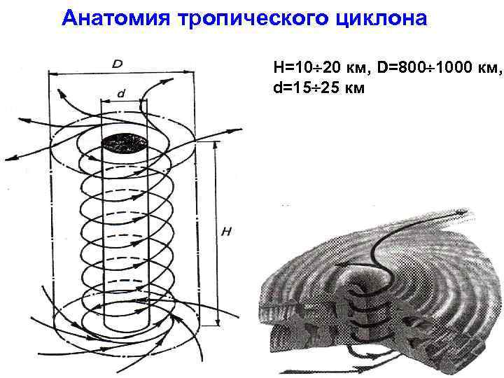 Анатомия тропического циклона H=10 20 км, D=800 1000 км, d=15 25 км 