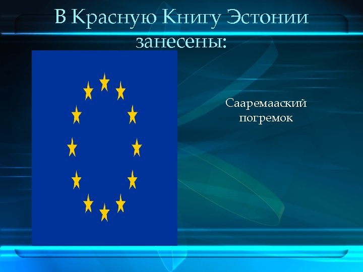 В Красную Книгу Эстонии занесены: Сааремааский погремок 