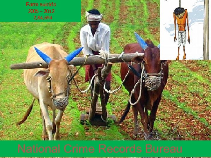 Farm suicide 2005 – 2012 2, 84, 694 National Crime Records Bureau 