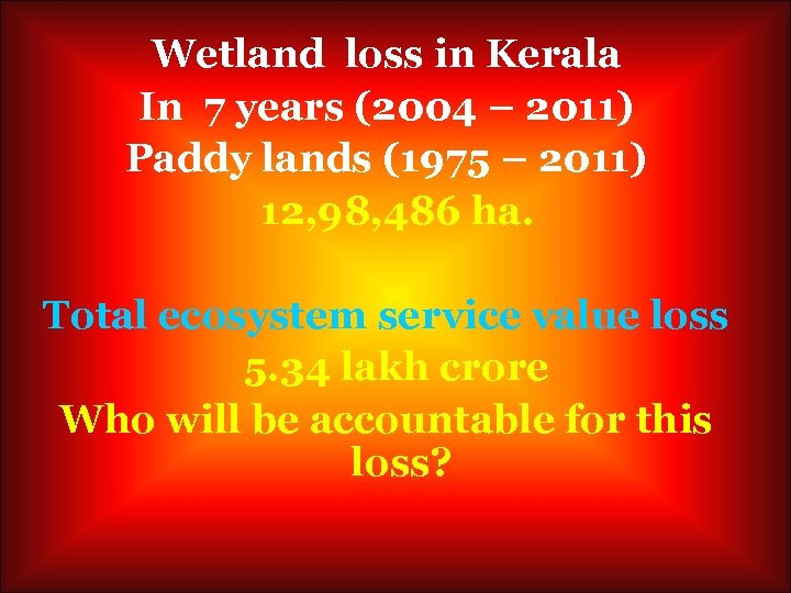 Wetland loss in Kerala In 7 years (2004 – 2011) Paddy lands (1975 –