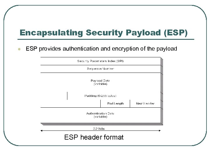 Encapsulating Security Payload (ESP) l ESP provides authentication and encryption of the payload ESP