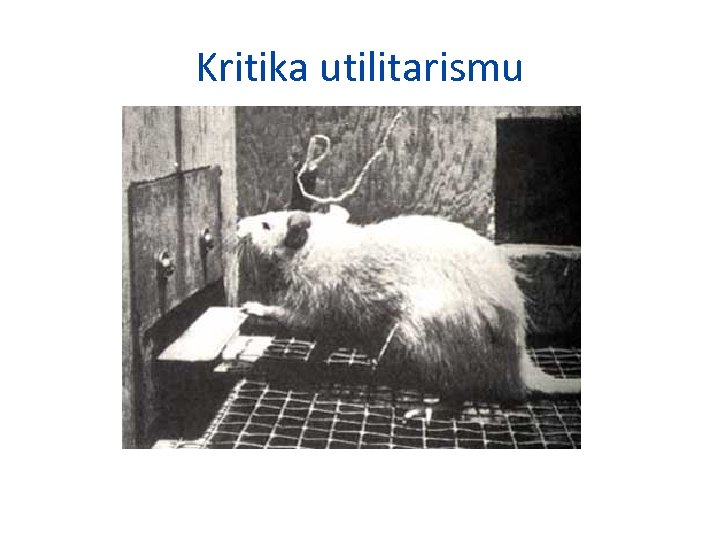 Kritika utilitarismu 