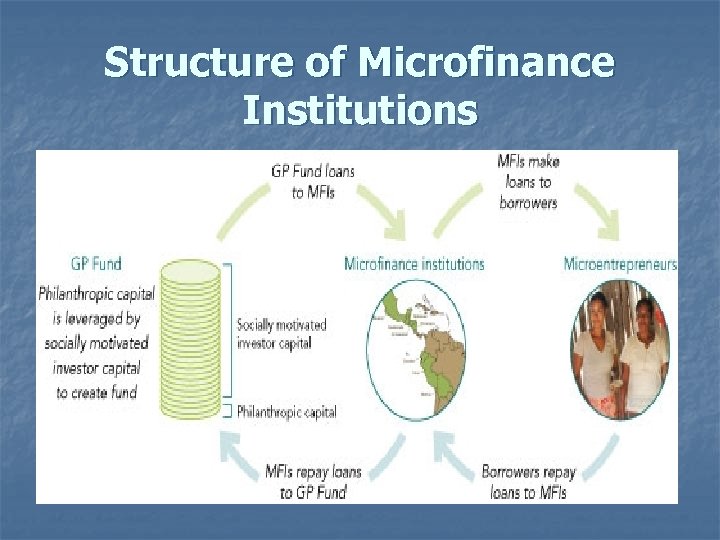 Structure of Microfinance Institutions 