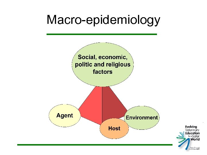 Macro-epidemiology 