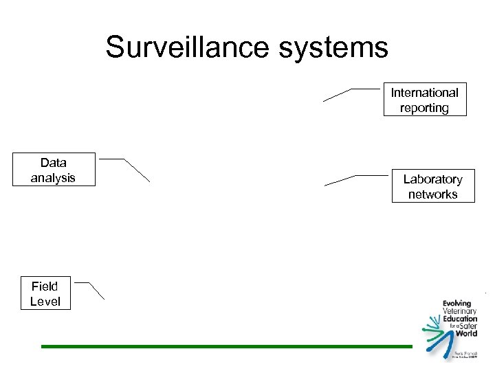 Surveillance systems International reporting Data analysis Field Level Laboratory networks 