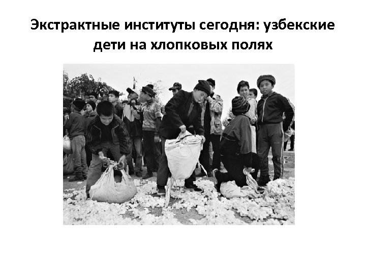 Экстрактные институты сегодня: узбекские дети на хлопковых полях 