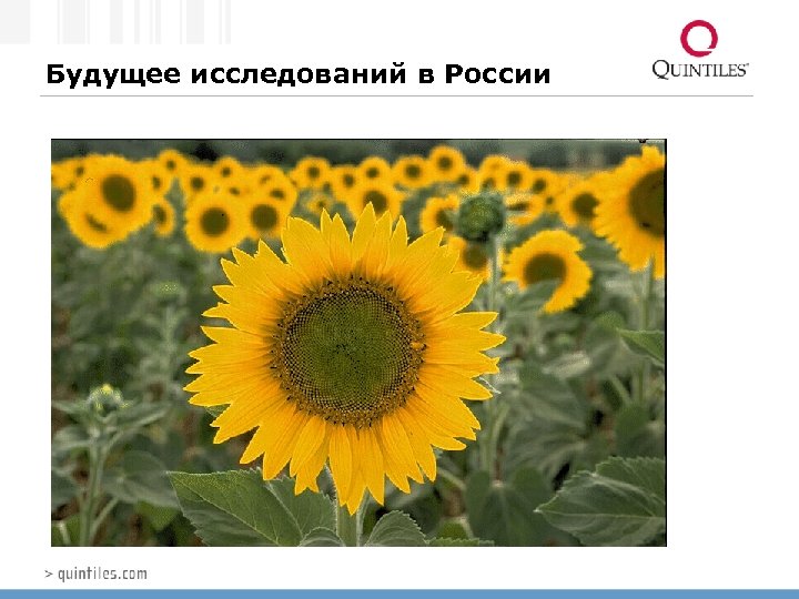 Будущее исследований в России 