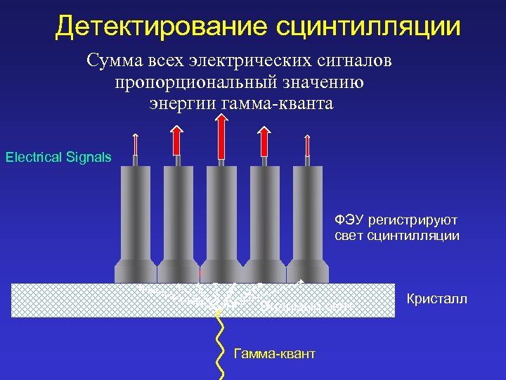 Детектирование сцинтилляции Сумма всех электрических сигналов пропорциональный значению энергии гамма-кванта Electrical Signals ФЭУ регистрируют