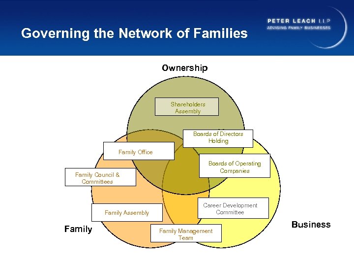 Governing the Network of Families Ownership Shareholders Assembly Boards of Directors Holding Family Office