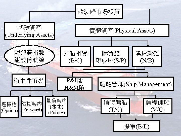 散裝船市場投資 基礎資產 (Underlying Assets) 實體資產(Physical Assets) 海運費指數 組成份航線 光船租賃 (B/C) 衍生性市場 P&I險 H&M險 選擇權